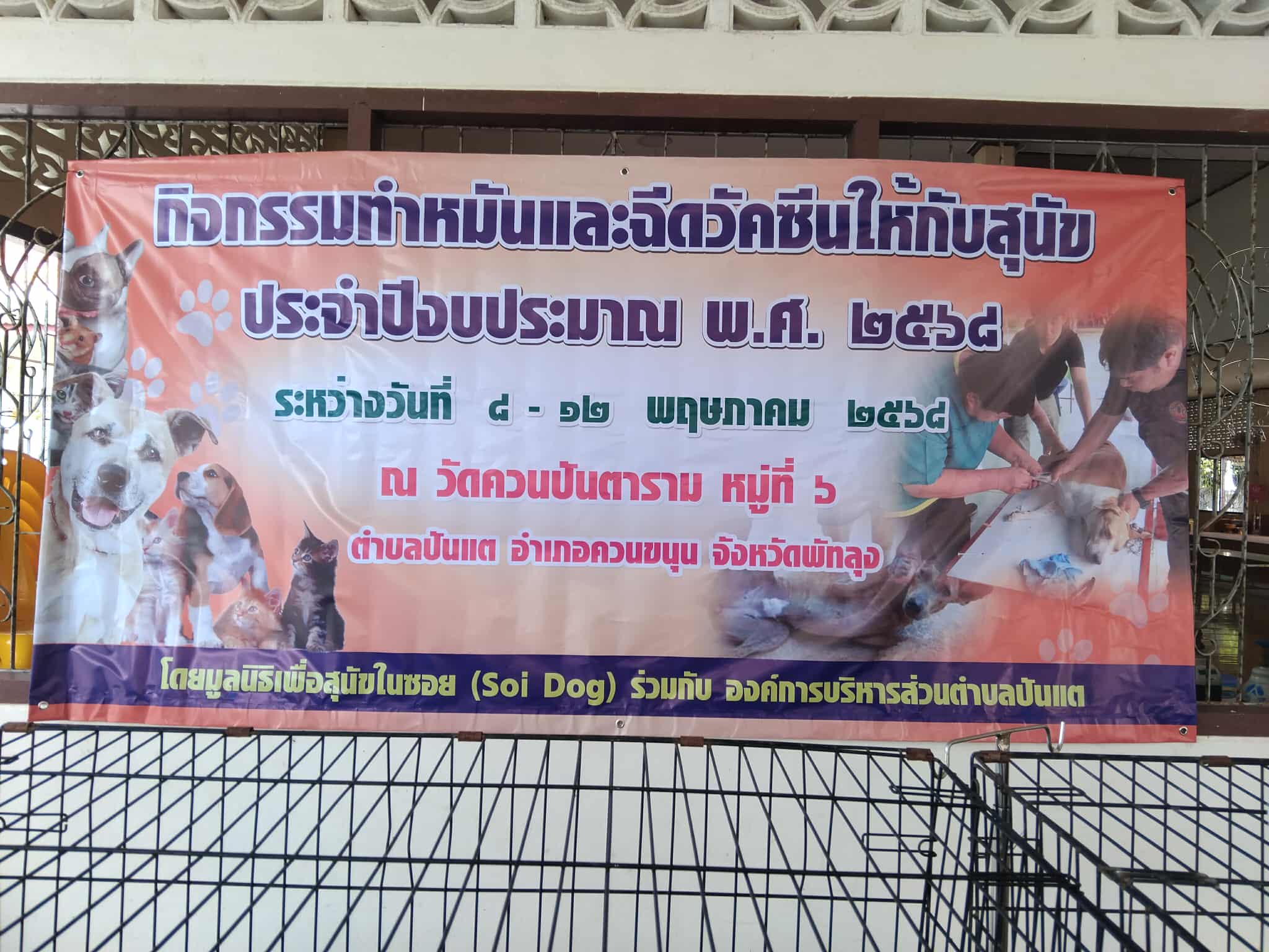 องค์การบริหารส่วนตำบลปันแต จัดกิจกรรมทำหมันและฉีดวัคซีนให้กับสุนัขประจำปี พ.ศ.2568 ระหว่างวันที่ 8-12 พฤษภาคม 2568 ณ วัดควนปันตาราม ตำบลปันแต อำเภอควนขนุน จังหวัดพัทลุง โดยมีวัตถุประสงค์เพื่อควบคุมจำนวนสุนัขและแมว ซึ่งเป็นพาหนะที่สำคัญของโรคพิษสุนัขบ้าให้อยู่ในจำนวนที่พอเหมาะ เพื่อให้ง่ายและสะดวกต่อการควบคุมโรค เพื่อลดอุบัติการณ์ของโรคพิษสุนัขบ้าทัั้งในคนและสัตว์
